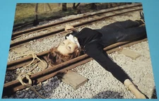 Diana Rigg / The Avengers TV /  8 x 10  Color  Photo