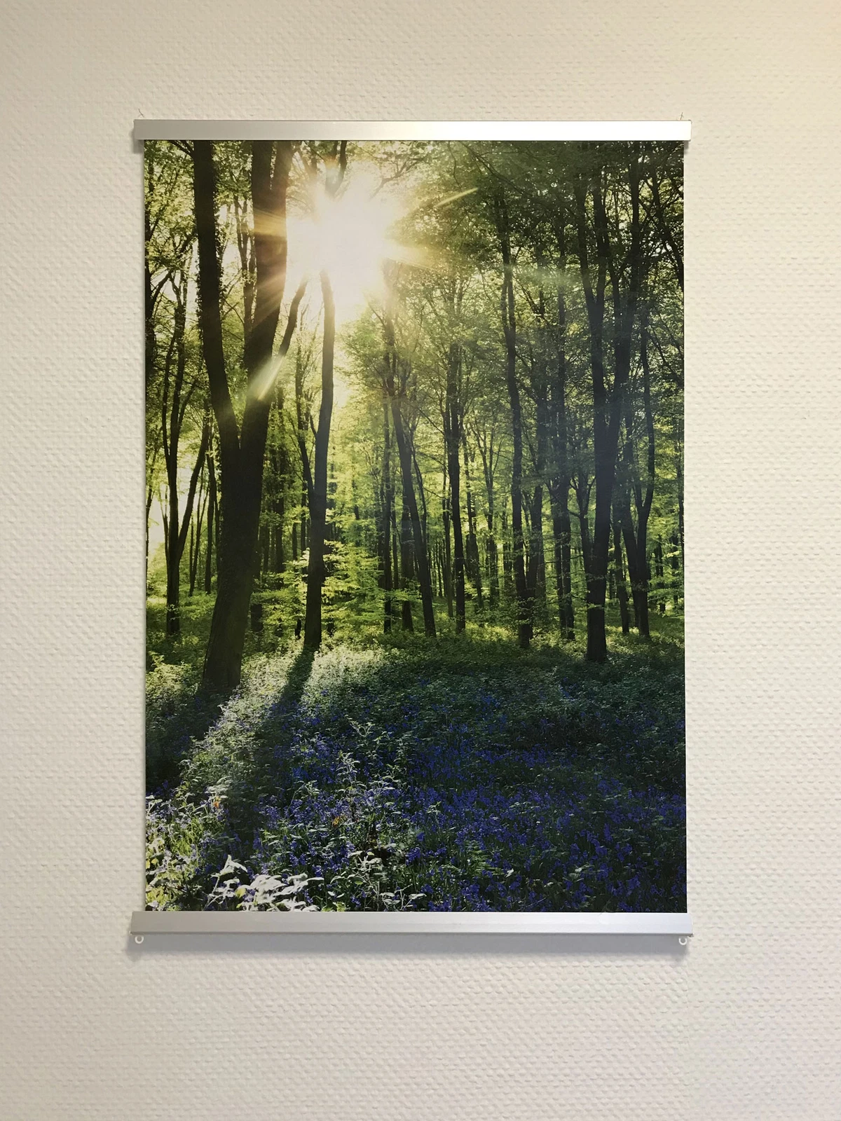 Bild 16 von 16