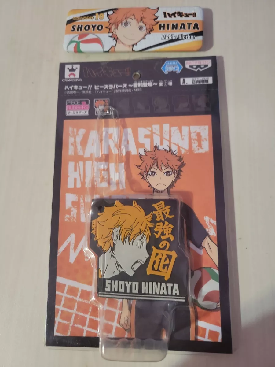 Meilleurs Pins Fast  Haikyuu anime, Haikyuu manga, Haikyuu