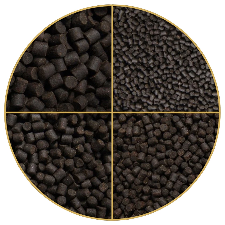 Störfutter Premium 20 kg Koifutter Stör in 3mm 4,5mm 6mm 8mm Fischfutter 2x 10kg - Bild 2 von 2