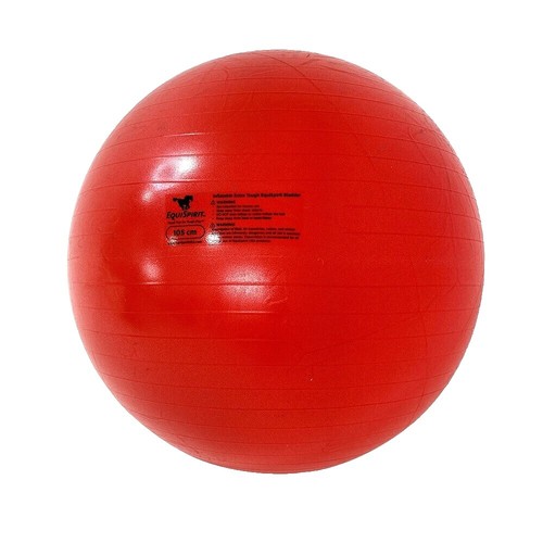 Technogym Wellness Ball Exercise Ball Black New in Box Gym