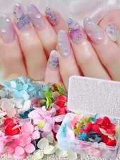 100pcs Hydrangea Dried Flowers Nail Decoration False Floral Petal DIY Colorful