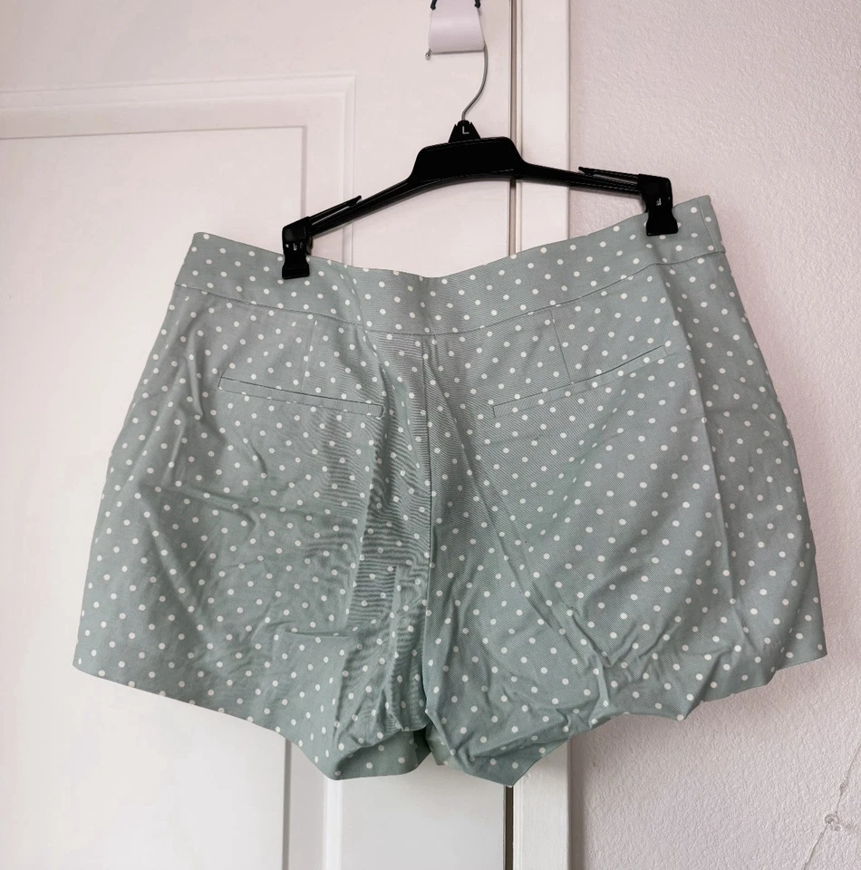 Maison Jules 女式 Polkadot 棉斜纹布薄荷绿色短裤 L(10) 码 — 第 4/4 张图片