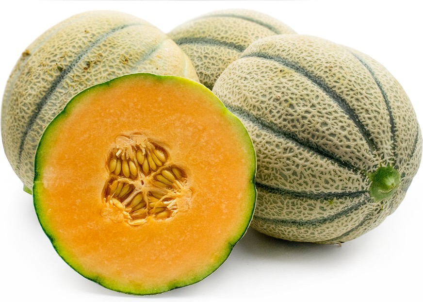 Ultra Sweet Tuscan Cantaloupe Seeds 15+ Seeds eBay