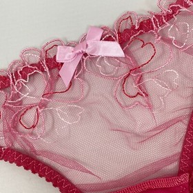 Agent Provocateur Maysie Fuchsia Baby Pink Brief AP4 Large NWT