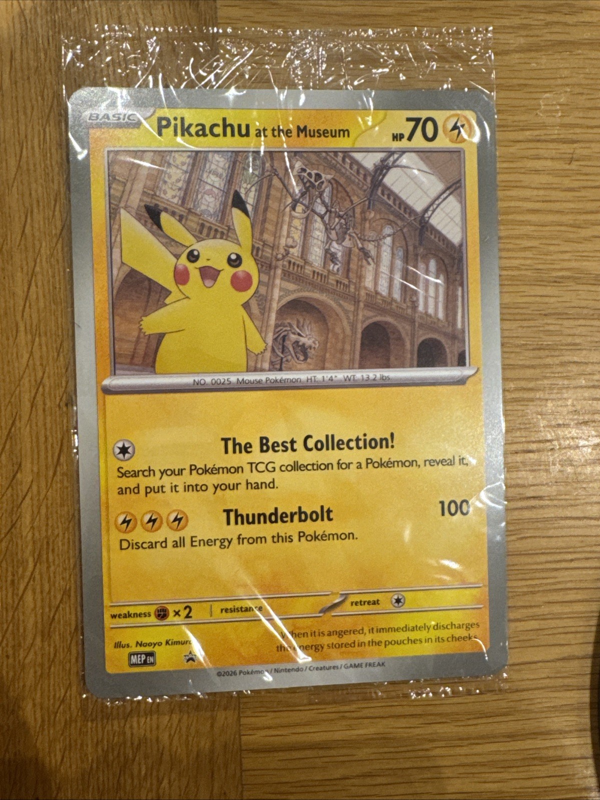 Pokémon TCG Pikachu At The Museum Jumbo Promo Card Sealed New