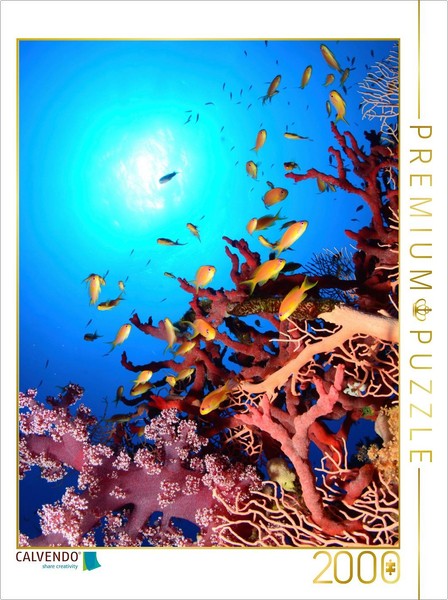 Calvendo Puzzle Korallenriff Paradies 2000 Teile Puzzle Hoch | 2000 Teile Lege-G-image