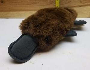 duck billed platypus stuffed animal