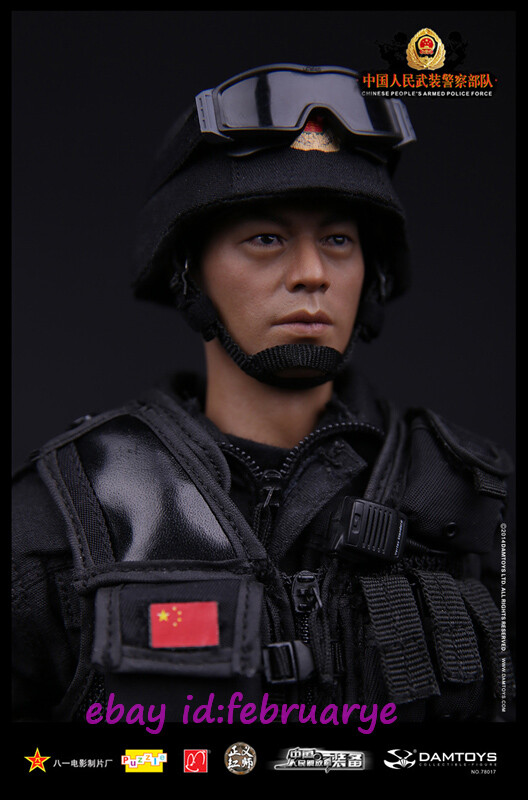 【DAMTOYS】78052 1/6 CHINESE PEOPLE&#39;S ARME 1/6 DamToys DAM 78052 Chinese Armed Force Snow Leopard