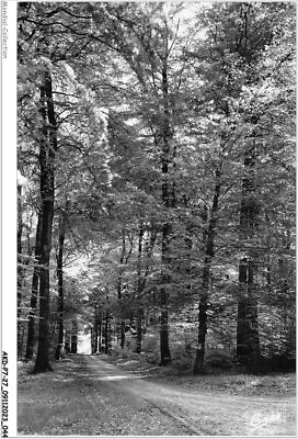 AKDP7-0758-27 - Martagny - La Rouge-Mare - Im Wald Von Lyons