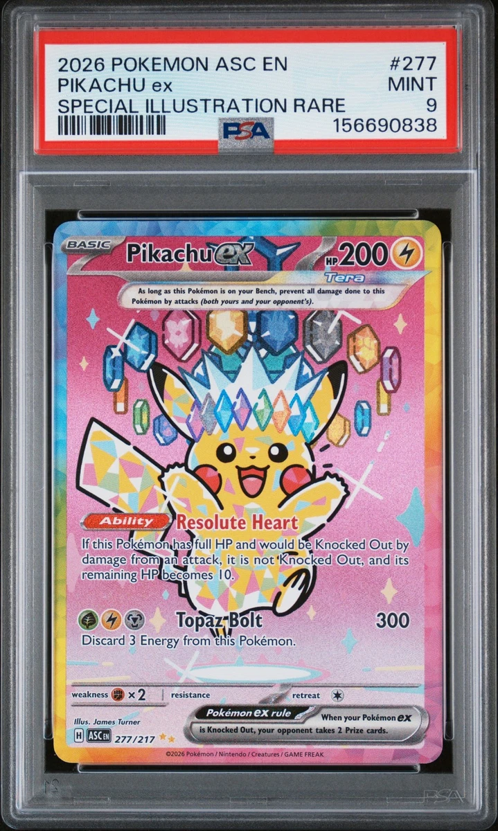 Preços baixos em Pikachu Pokémon TCG Autenticador Esportivo