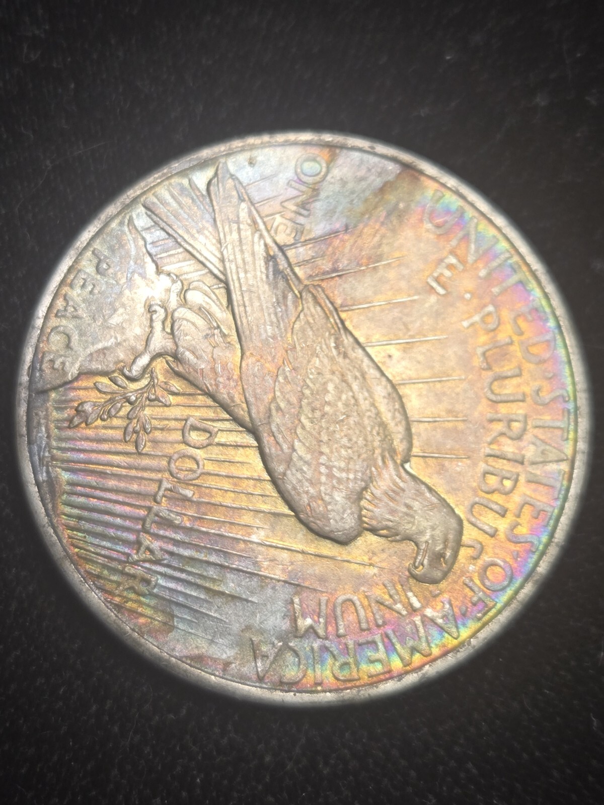 Picture 3 of 5