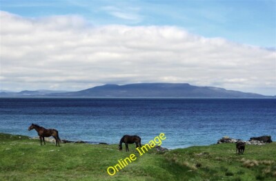 Photo 6x4 A pasture with a view Mullagh/L8579 Horses graze beside Clew B c2014