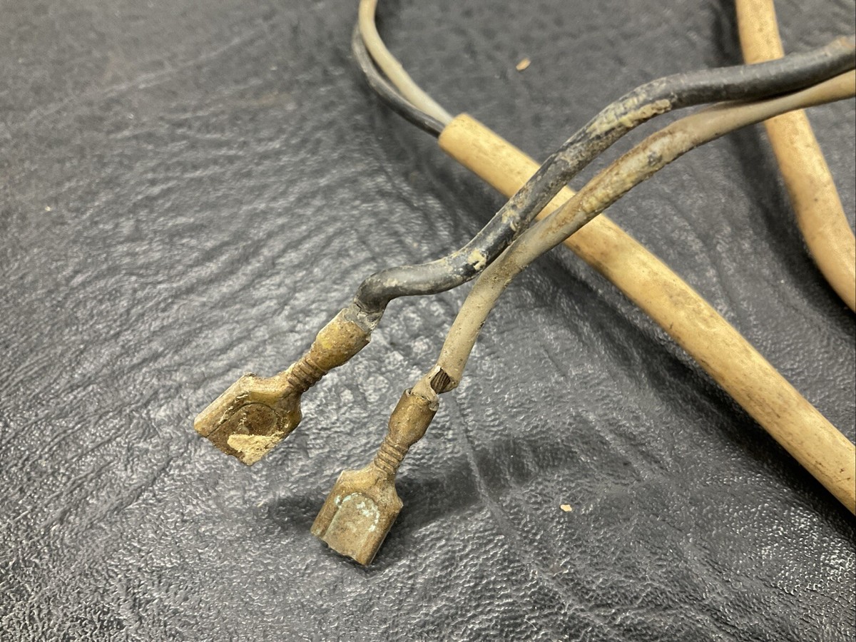 1970) Rear Body Light Harness Rear Panel