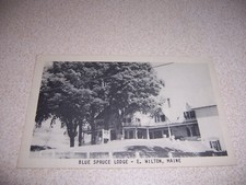 1950s BLUE SPRUCE LODGE, EAST WILTON, ME. VTG POSTCARD