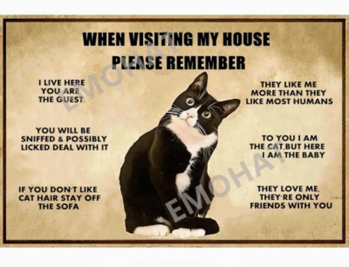 Funny Tuxedo Cat House Rules Tin Sign 8x12" Wall Decor Gift - Picture 5 of 10