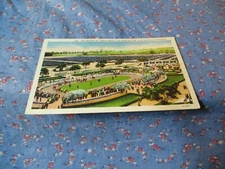 Old Postcard Arcadia Cal LA Turf Club Paddock Santa Anita