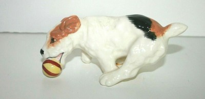 flyball jack russell