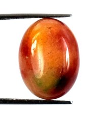 Natural Oval Multi Color Bloodstone Gemstone Certificado Ofertas Festivas