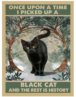 EINE SCHWARZE KATZE DER REST IST GESCHICHTE KATZEN Retro Blechschild BAD KÜCHE