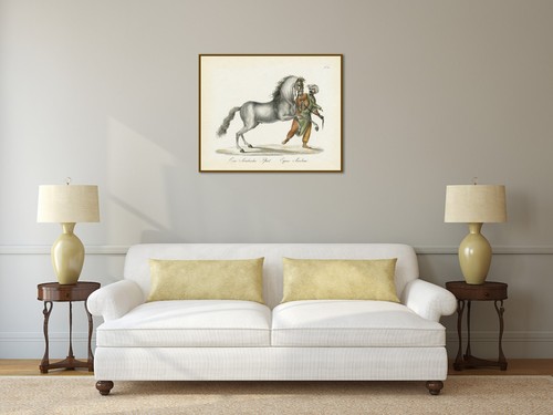 Arabisches Pferd & Reiter antike georgische Gravur Brodtmann 1816 Kunstdruck Poster - Bild 11 von 11