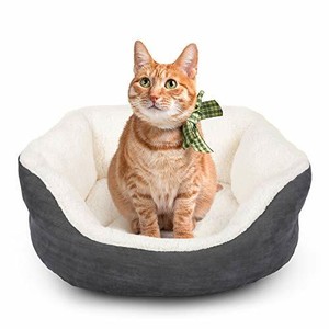 cat beds ebay