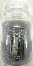 Yankee Candle SILVER BIRCH Large Jar 22 Oz Gray Housewarmer New Wax