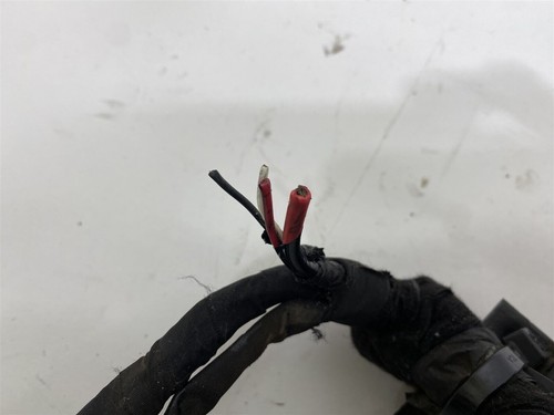 Harley-Davidson 2013 Dyna Wide Glide Main Wiring Harness 69200455 - Picture 3 of 3