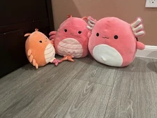 squishmallow variety