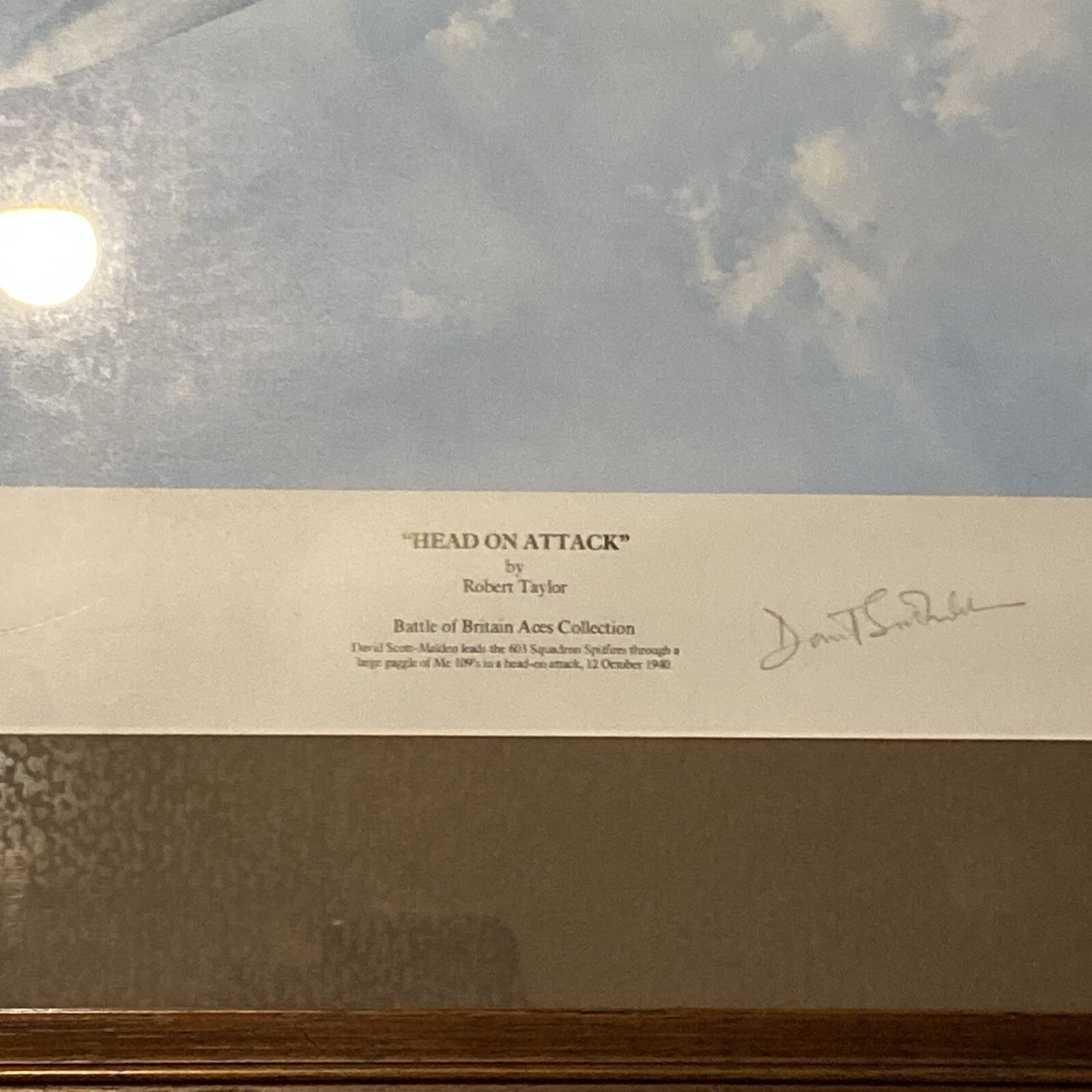 Robert Taylor Print Head On Attack Battle Of Britain Aces Collection Certified.