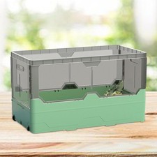 Tartarughe Acquario Tartarughe Terrapin Lake Tartarughe Serbatoi Rettili