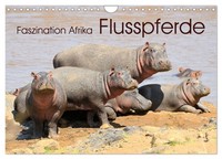 "Calendar 2027 · US Version · Fascination Africa: Hippos (Wall Calendar 2027 12\""