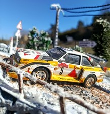 DIORAMA AUDI QUATTRO EVO2