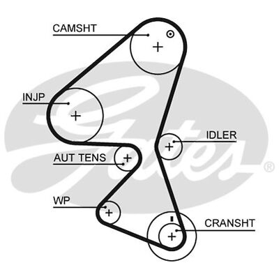 Figo Tdci Fan Belt For Ford Fiesta For Ford Figo TDCi Genuine