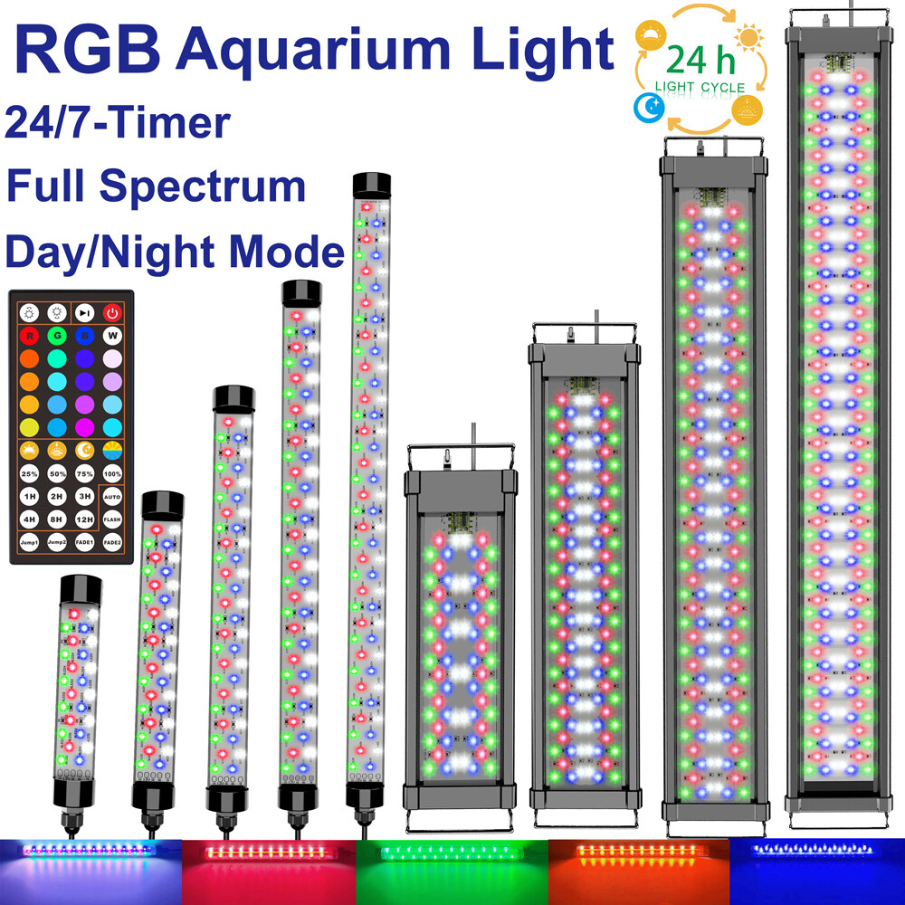 Light Spectrum for Vibrant Fish Colors: Boost Brightness Instantly