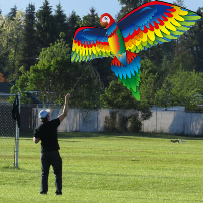 3D Parrot Single Line Tail Kite Outdoor Interesting Toy Family Outdoor Sports