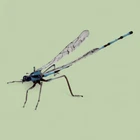 Vintage Art Glass Damselfly Figurine Murano Style Hand Blown Glass Insect Figure