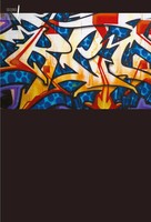 Graffiti En El Contexto Urbano De La Ciudad De SãO Carlos Santos Taschenbuch