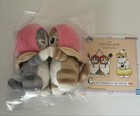 Foto 2 di 4