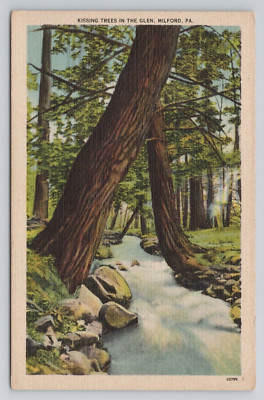 Kissing Trees in the Glen Milford Pennsylvania Postcard