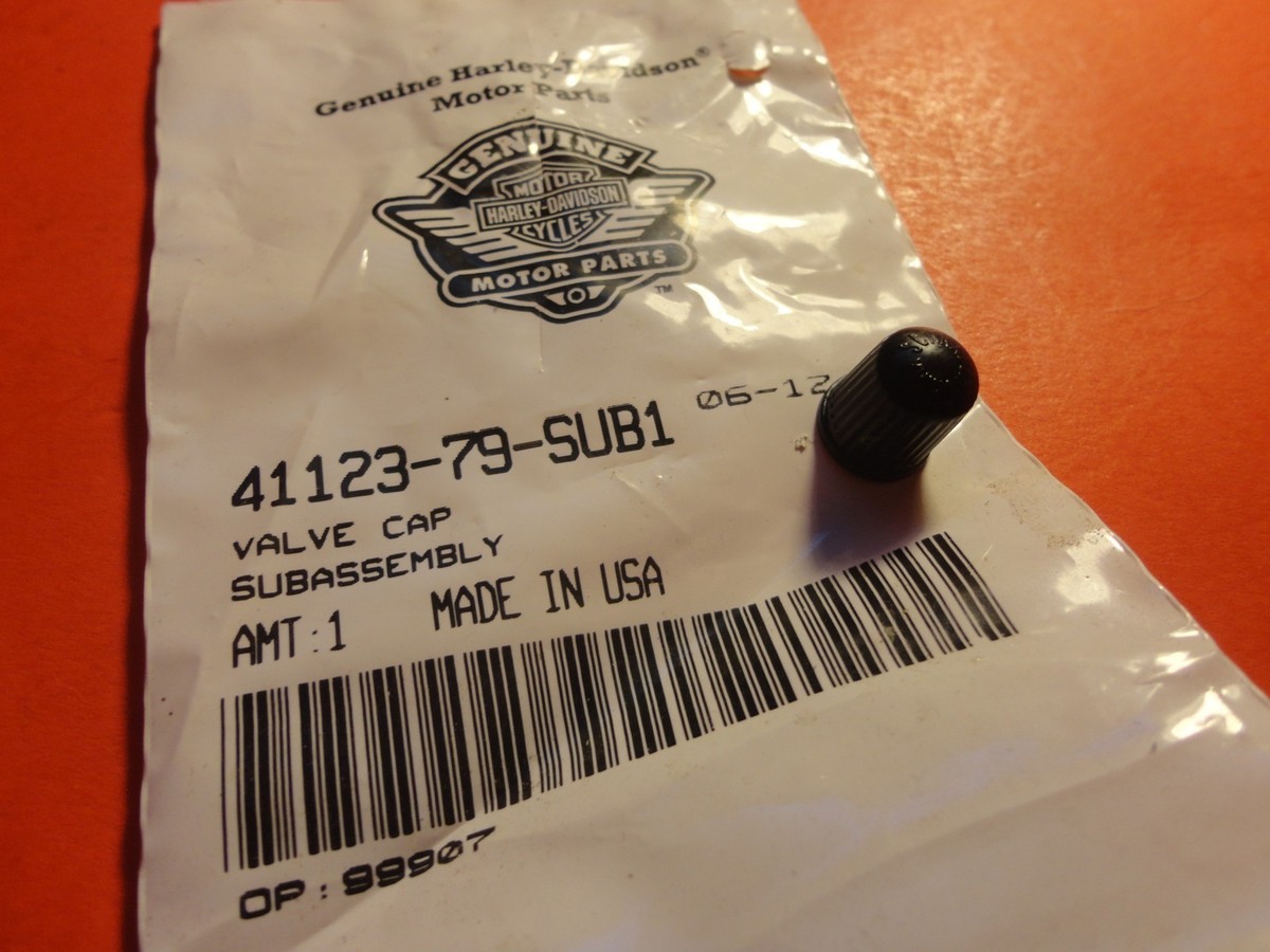ジャパニーズ・グラフィック・ナウ！ NOS NEW OEM ORIGINAL KAWASAKI KLT160 KLT185 KLF185 VALVE