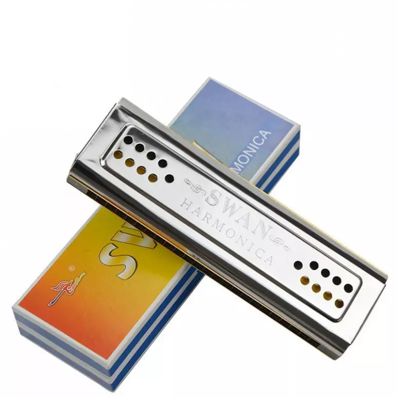 24 trous Harmonica Key of C, Tremolo Harmonica Orgue à bouche Harpe avec  étui pour débutants,Adultes,Joueur de groupe professionnel et  étudiants,Argent Argent