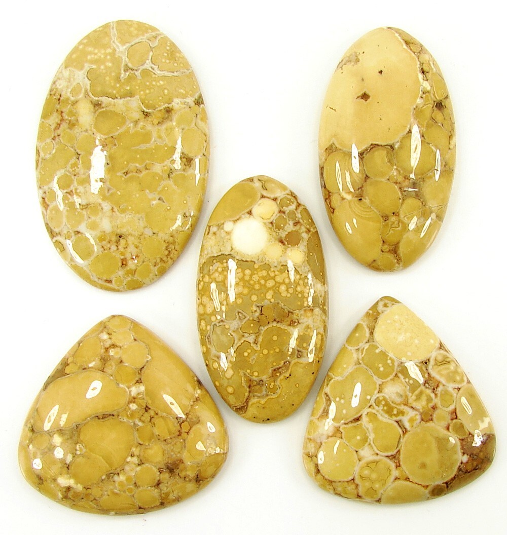 331.55 Ct Natural Polka Dot Jasper Loose Gemstone 34-48 mm