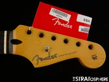 Fender Player II Modified Strat, NECK, Stratocast 9.5" C Shape RW Rosewood