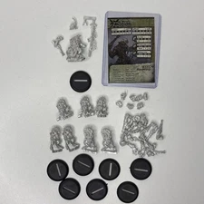 Hordes Farrow Shaman Brigands Minions Unit + Stat Card 2003 Metal