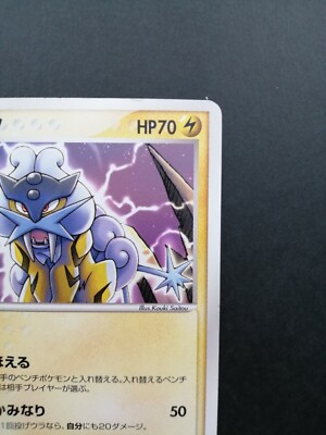 Raikou Pokemon Pokepark Promo Card 005/009 Vintage Very Rare Japan