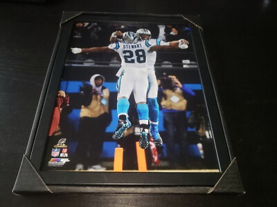 Carolina Panthers 2015 NFC Champions 15x12 Framed Cam Newton Jonathan Stewart