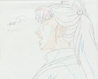 The Twelve Kingdoms Juuni Kokki Genga Douga Original Sketches Pierrot - Youko — photo 5