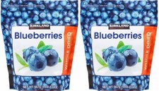 2 PACK - Kirkland Organic Dried Blueberries Lightly Sweetened 1 LB 4 OZ
