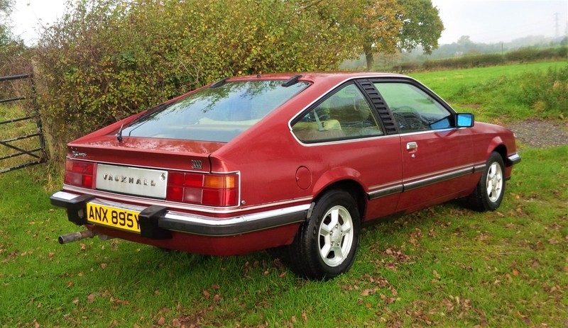 s-l800.jpg